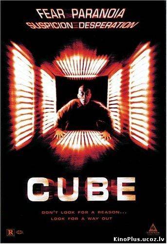 Kubs / Cube