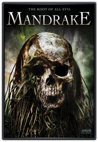 Mandragora